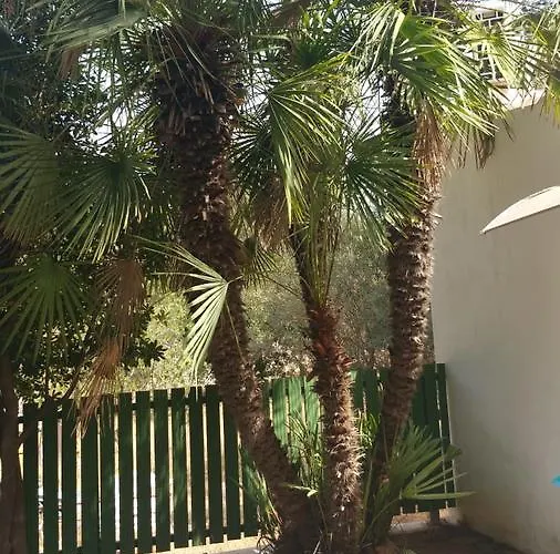 Chabola Casa de Férias Dénia