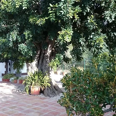 Chabola Holiday home *