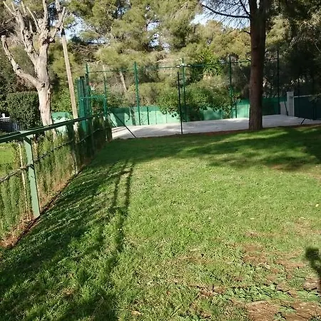 Chabola דניה