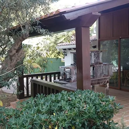 Chabola دينايا