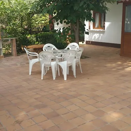 Chabola * דניה