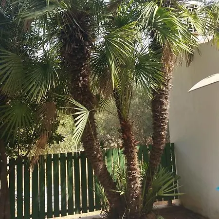Chabola Ferienhaus Dénia