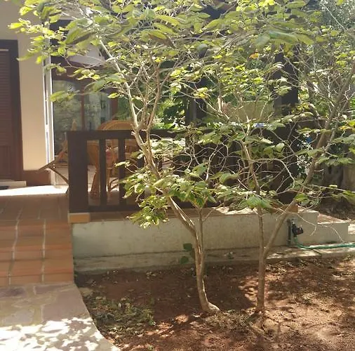 Chabola Dénia